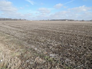 Property photo 13 - LAND AUCTION, 211+/- Acres offered in 3 Tracts